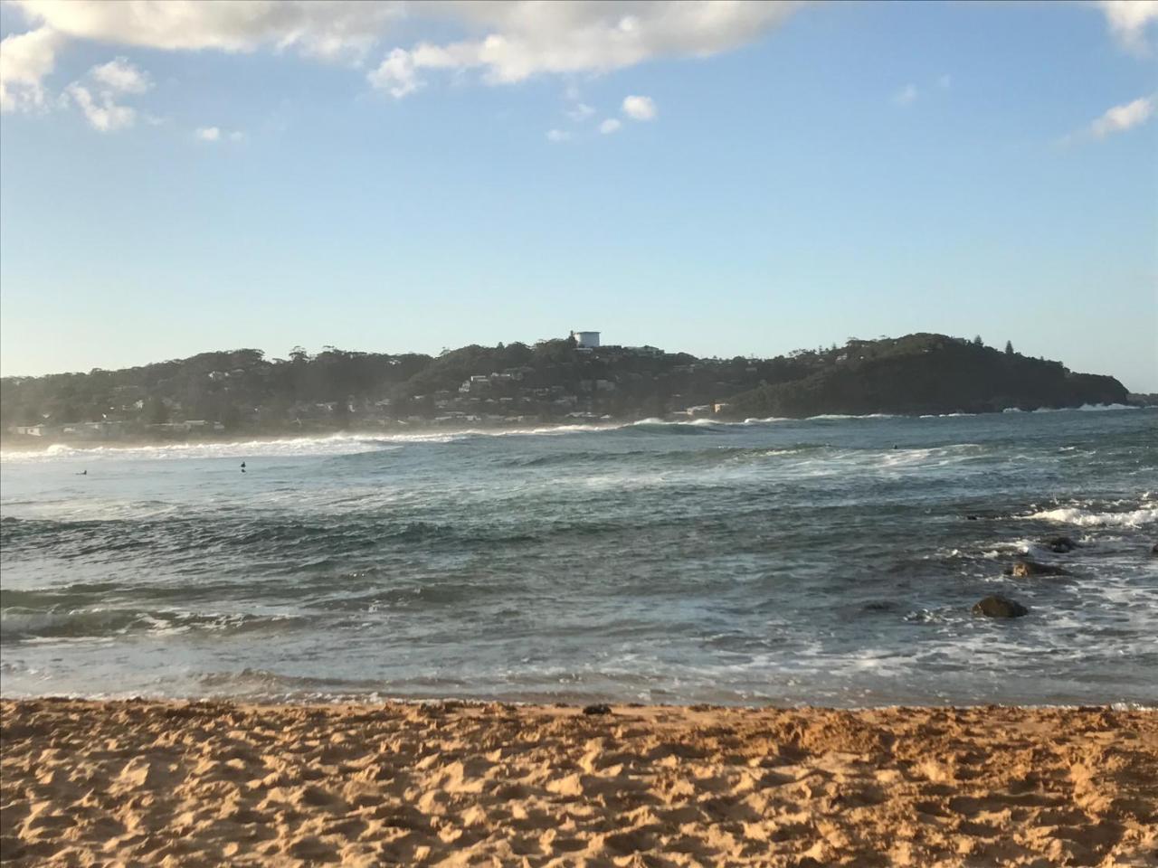 The Beach Hut Avoca Beach Nsw Villa Exteriör bild