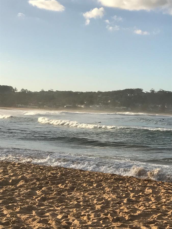 The Beach Hut Avoca Beach Nsw Villa Exteriör bild