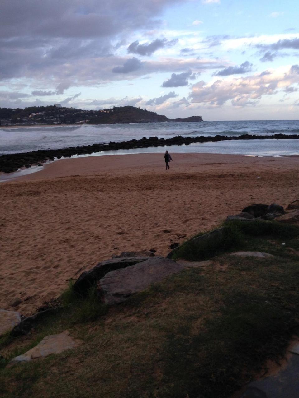 The Beach Hut Avoca Beach Nsw Villa Exteriör bild